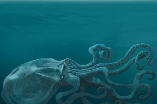 Kraken ссылка для тору